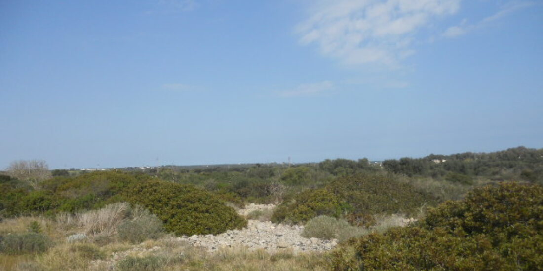 Terreno edificabile Rif. T 53