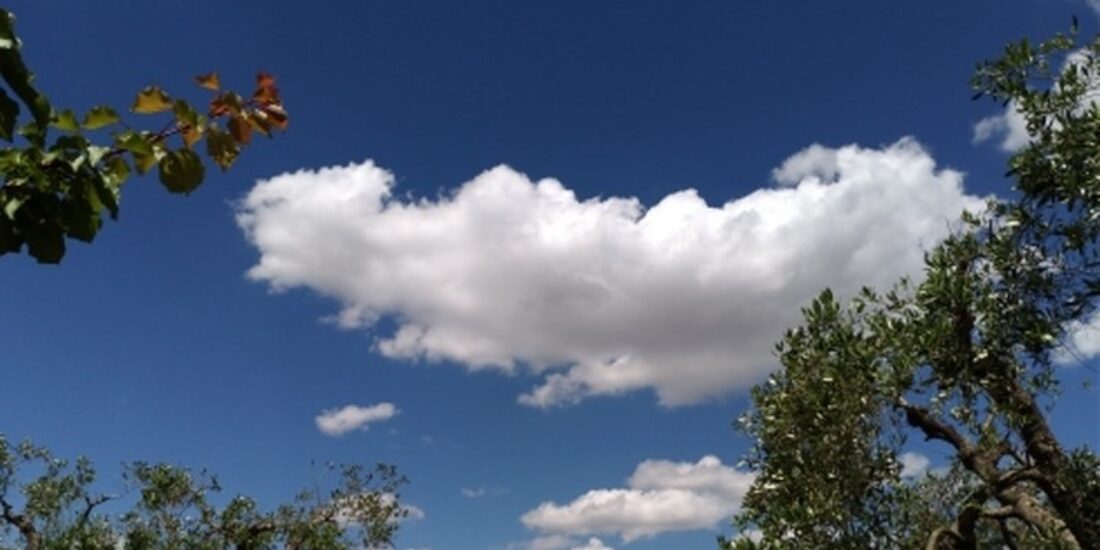 Terreno edificabile Rif. T 64