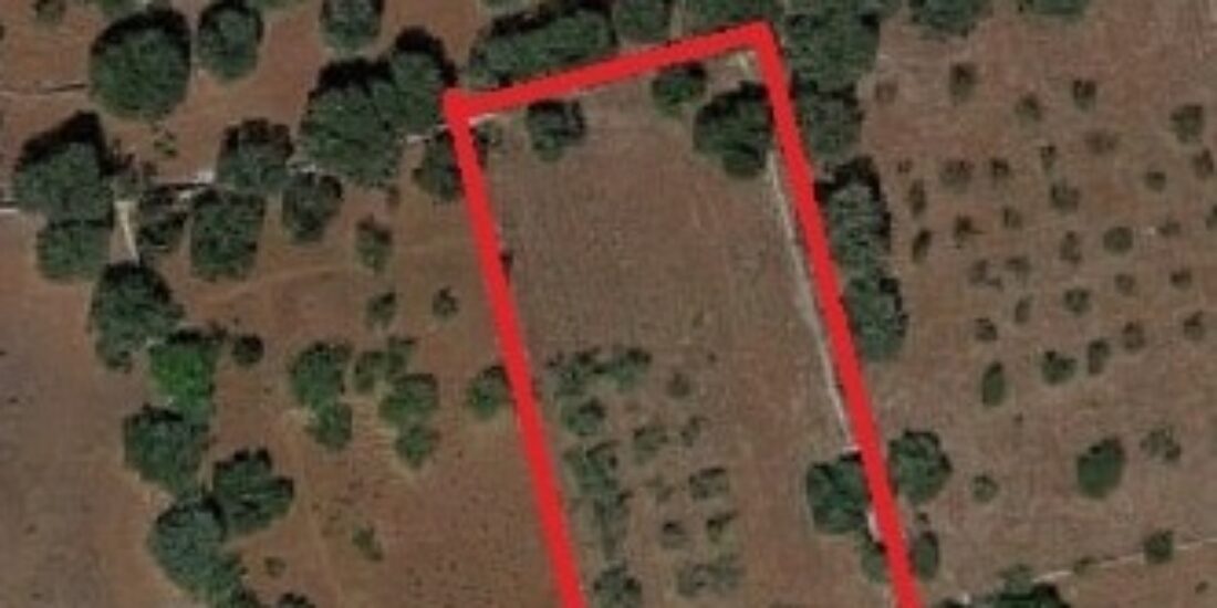 Terreno edificabile Rif. T 76