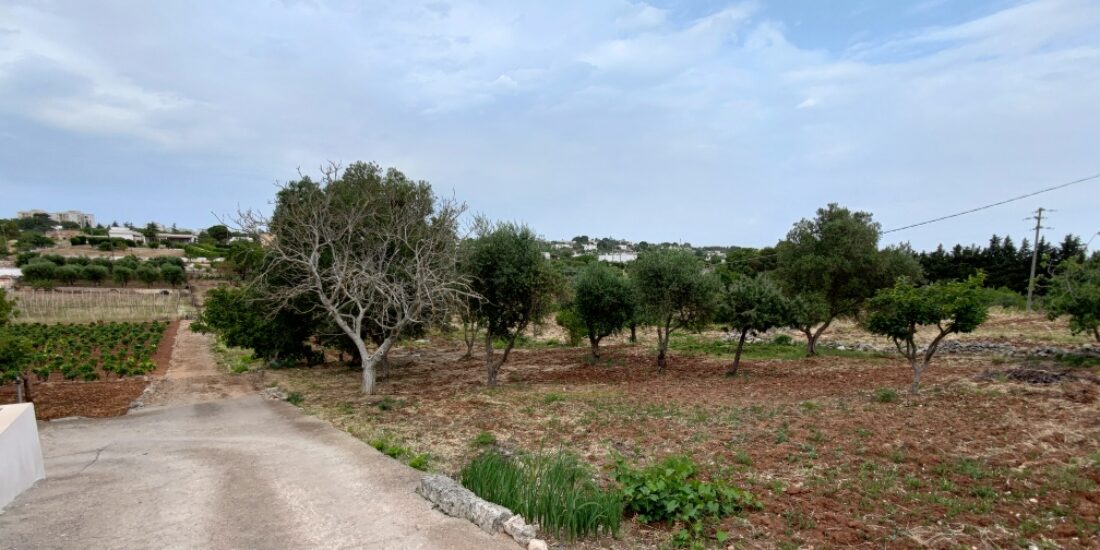 Terreno edificabile Rif. T 82