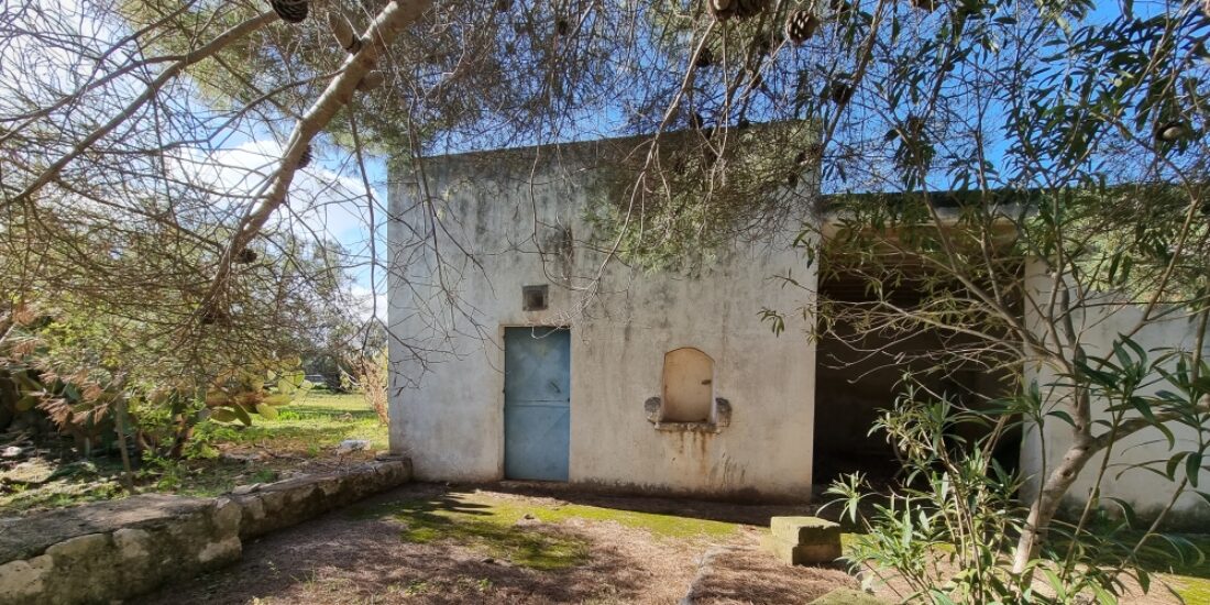 Lamie in pietra Rif. TR 430