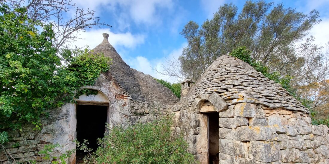 TRullo a 4 coni Rif. TR 453