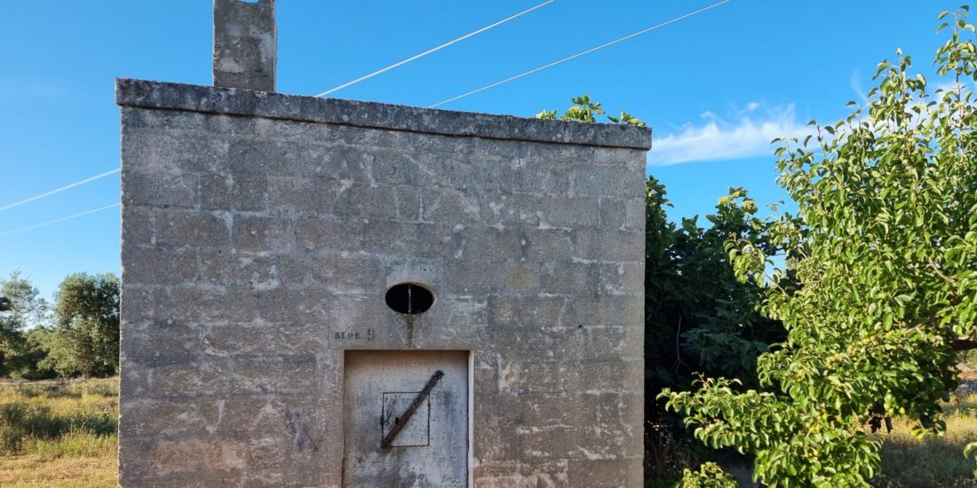 LAmia in tufo Rif. TR 470