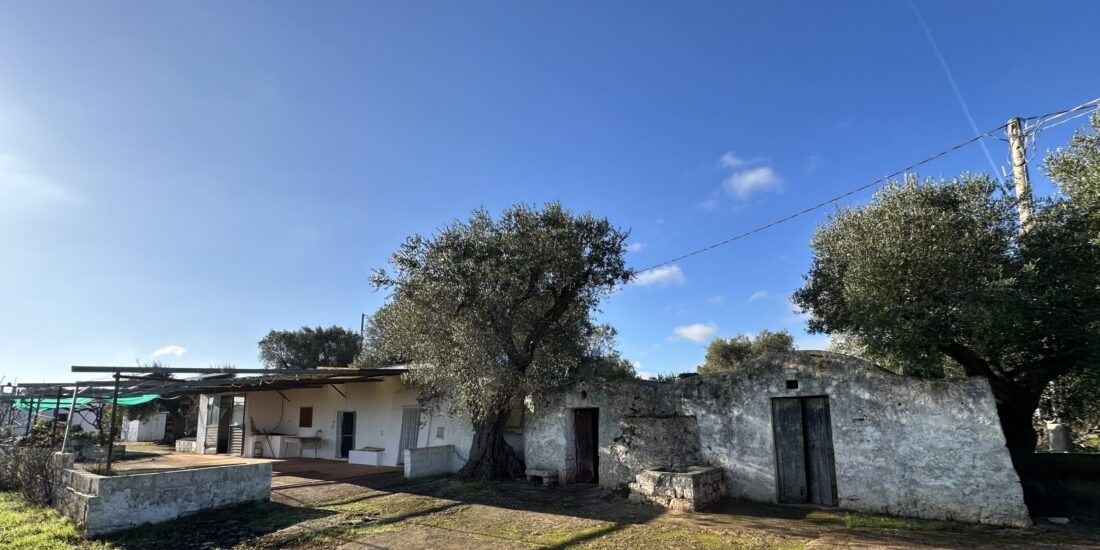 Casolare Rif. TR 488