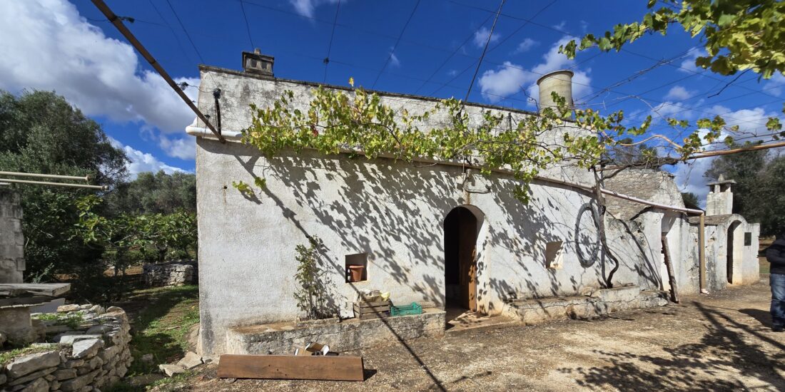 Lamie e trulli Rif. TR 512