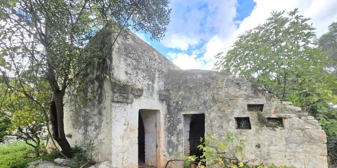 Fabbricati in pietra con terreno Rif. TR 514