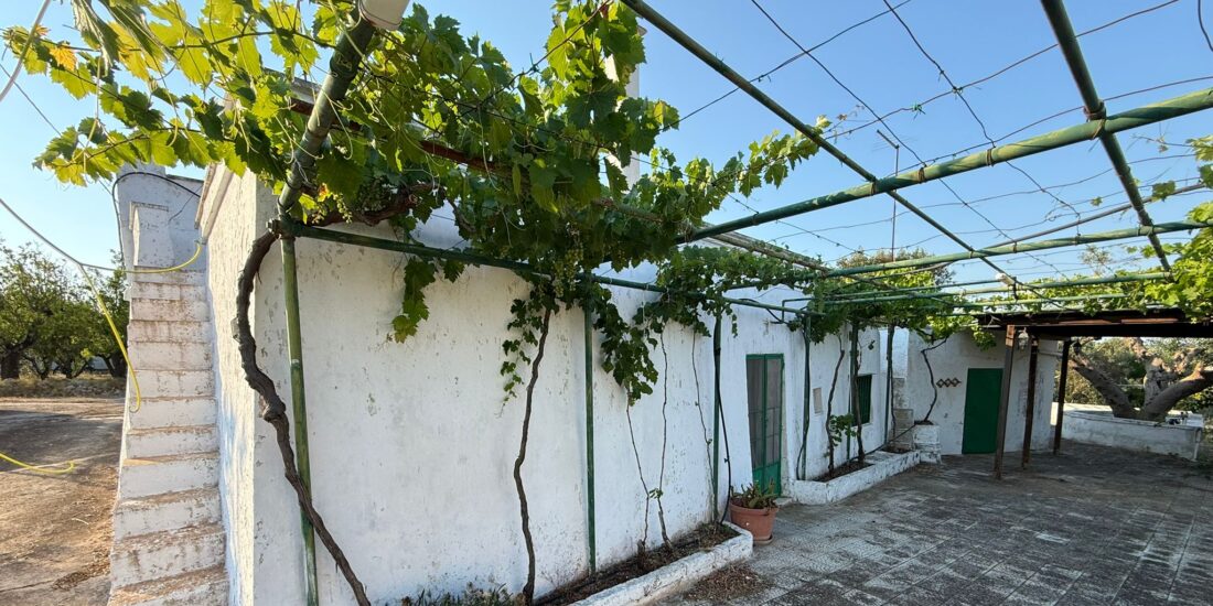 Trullo e  lamie Rif. TR 522