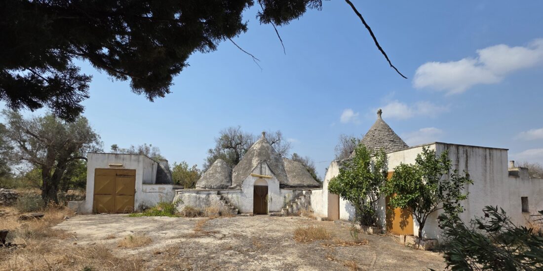 Trullo a 6 coni con uliveto Rif. TR 523