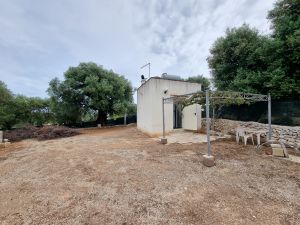 Lamia in tufo Rif. TR 465